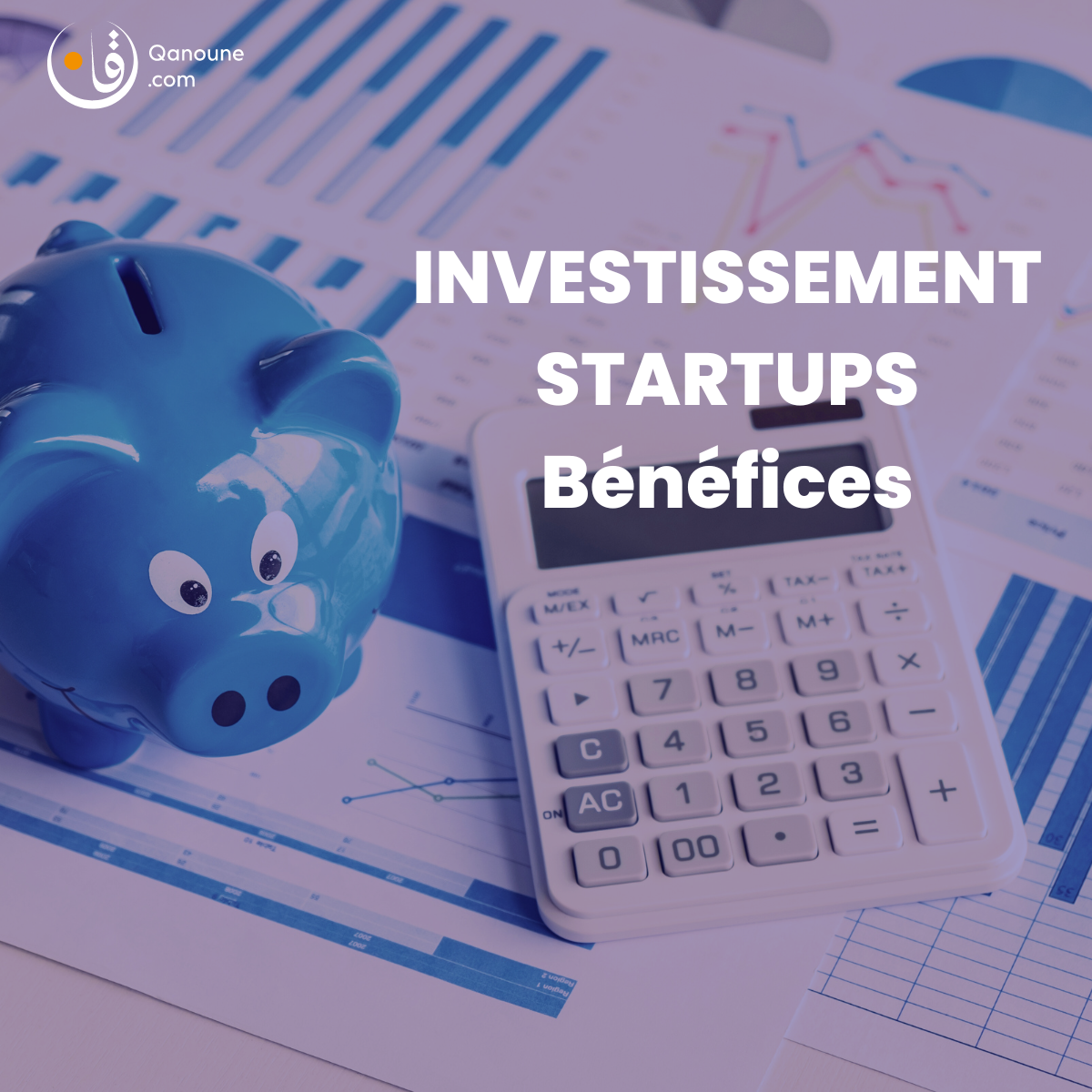 Les leviers d'incitation à l'investissemnt en Start-ups en Algérie : Avantages et Exonérations